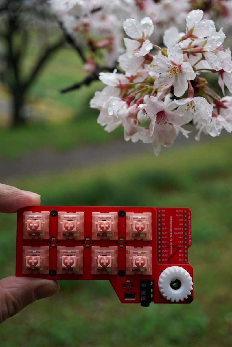 桜 × Sakura
Keyboard: DogTag MacroPad v4
Switch: Akko CS Sakura

#KEEB_PD #KEEB_PD_R141 #俺キー
#自作キーボード #マクロパッド
#mechanicalkeyboard #macropad
#DogTagMacroPad