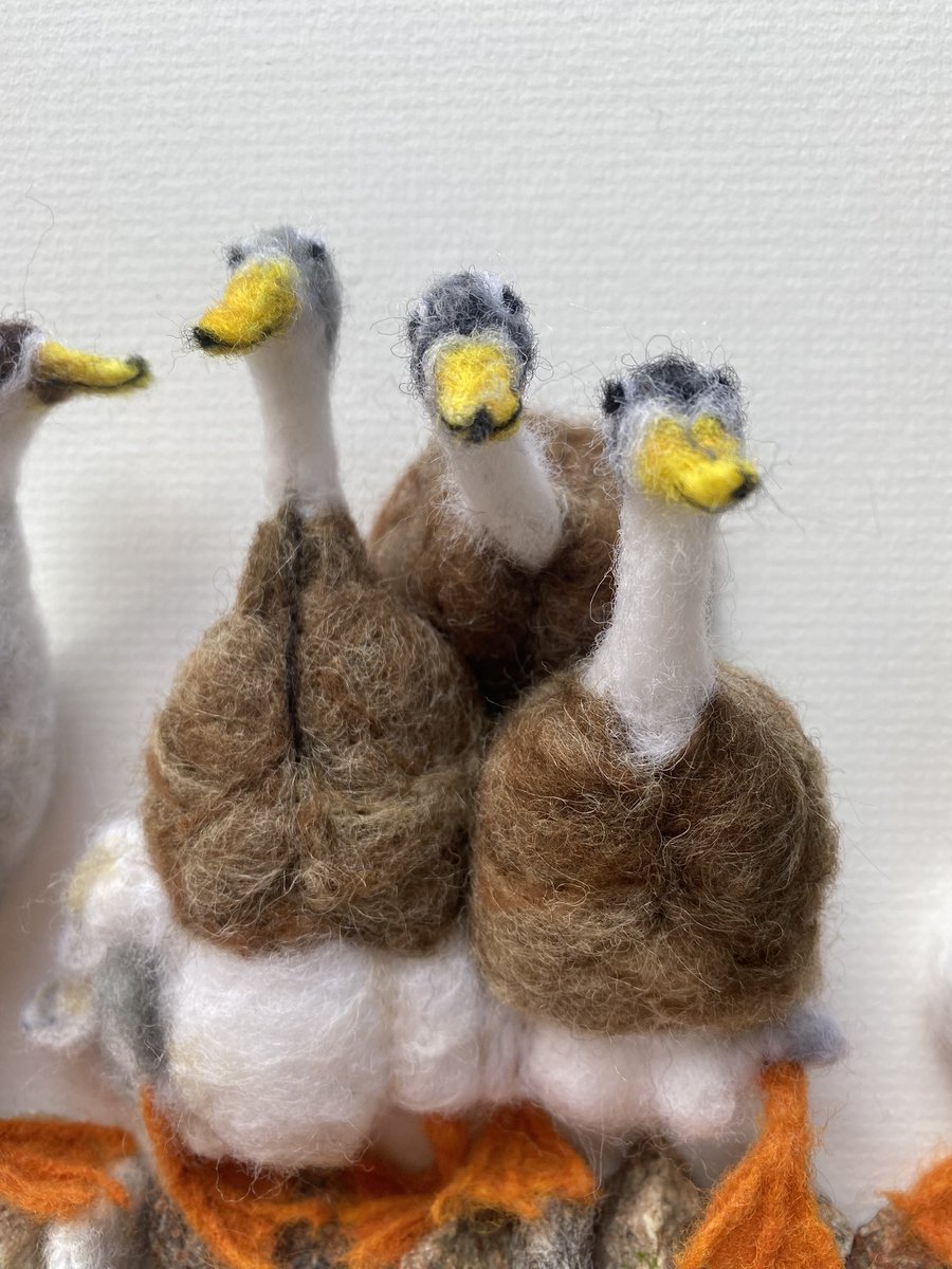 AbiFelting's tweet photo. Duck kinda weather today! π§οΈ #ducks #runnerducks #wildduck #birds #ducksmakegreatpets #needlefelting #felt #feltart #fibreart #fibreartist #artist https://t.co/A7DMZRjs12
