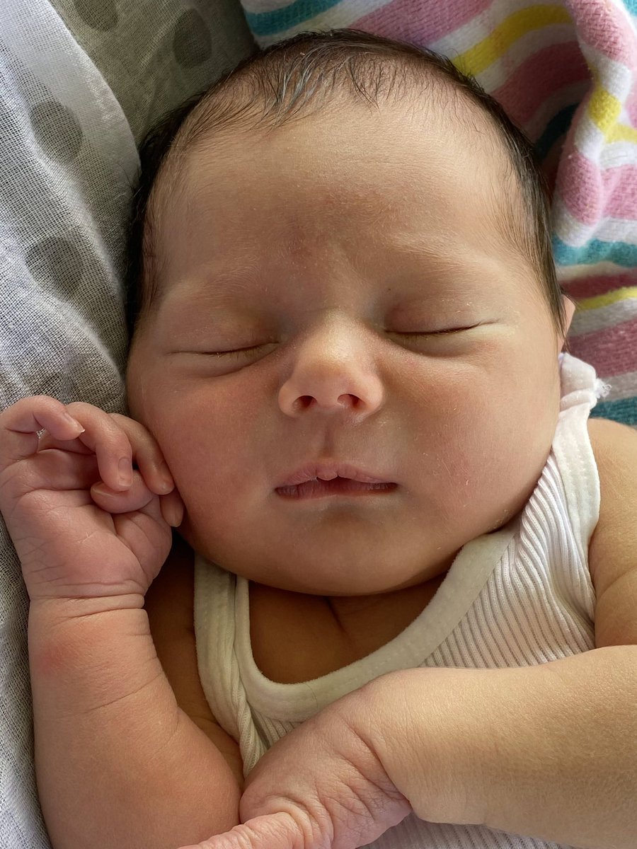 Dr Tatiane Yanes tweet media