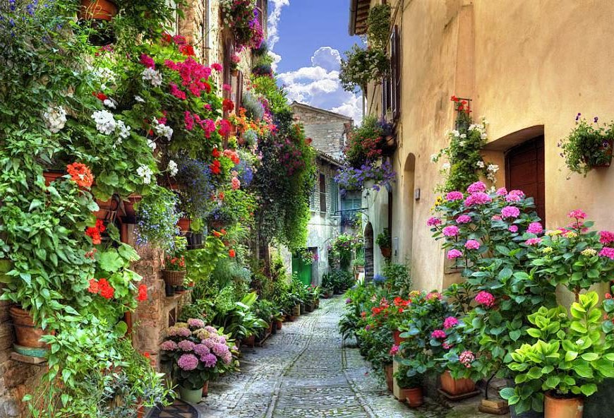 La normalità è una strada asfaltata: è comoda per camminare, ma non vi crescono fiori.
Vincent van Gogh
#LungoStradeSecondarie   
Castel Valer- In Trentino Val di Non