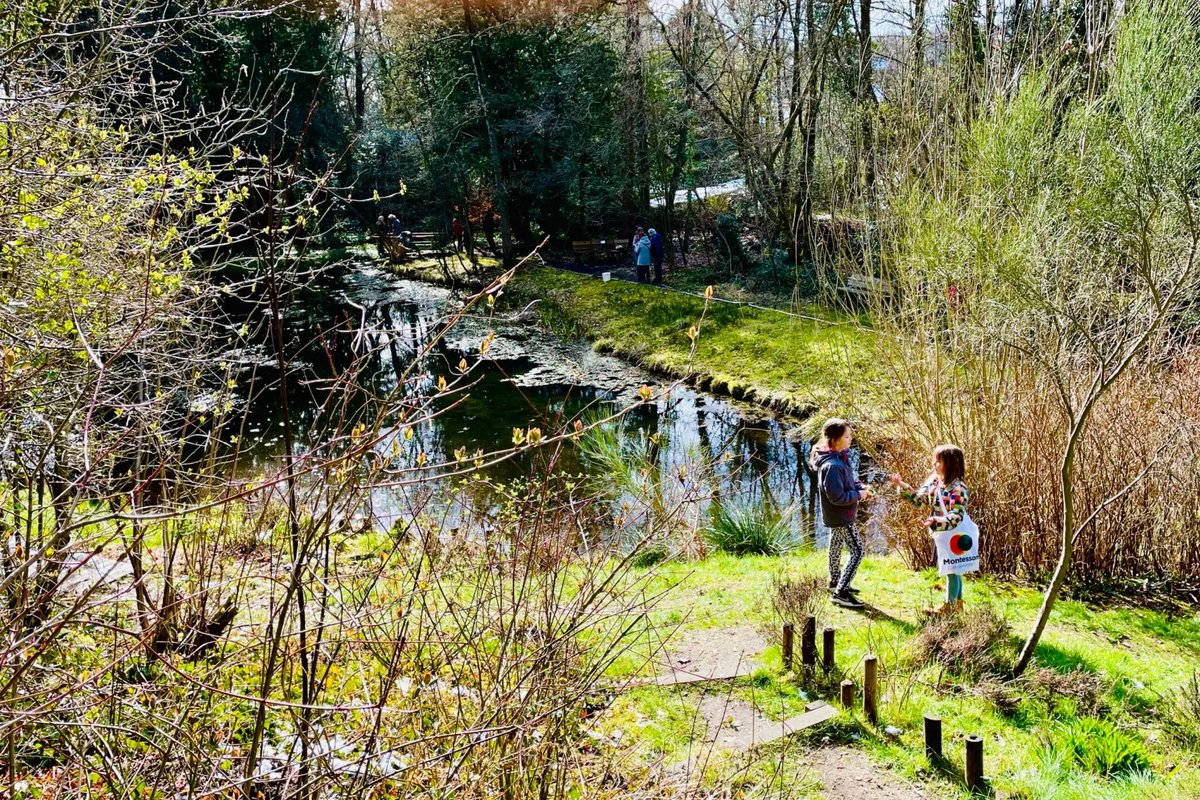 Nog maar een paar plaatsen beschikbaar voor een zoektocht in de Zomp op 1 april a.s. onder leiding van bezield amfibieëndeskundige Daan Markx! festivalzweiersdal.nl/events/wat-zit… #oosterbeek #amfibieën #biodiversity #obsidentify #waterdieren #festivalzweiersdal