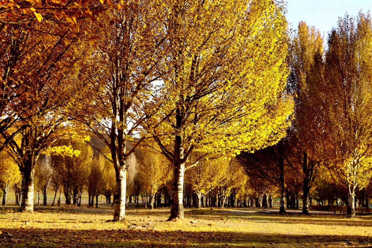 Before investing in cryptocurrencies, do your homework to understand market dynamics and risks.