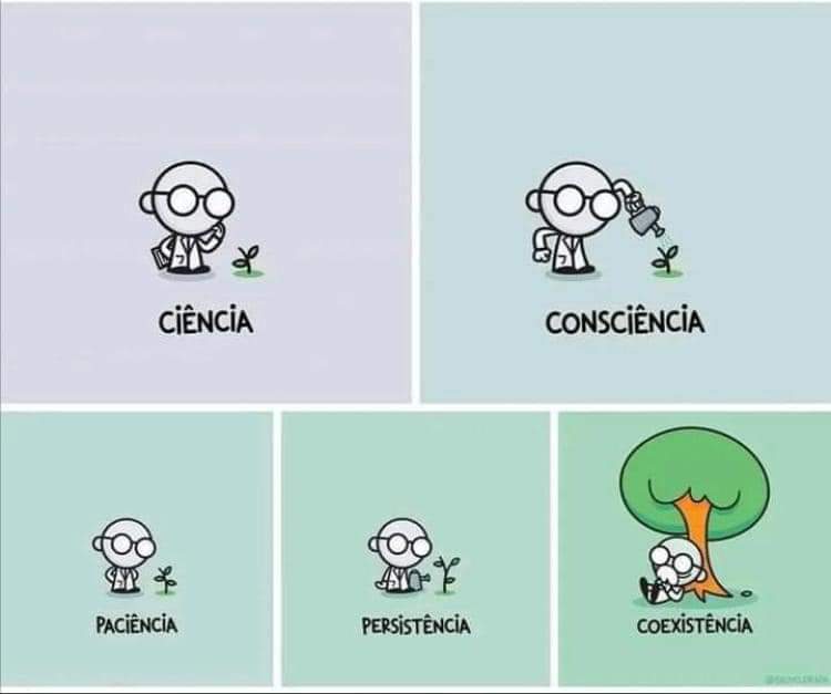 Mar Verdejo Coto tweet media