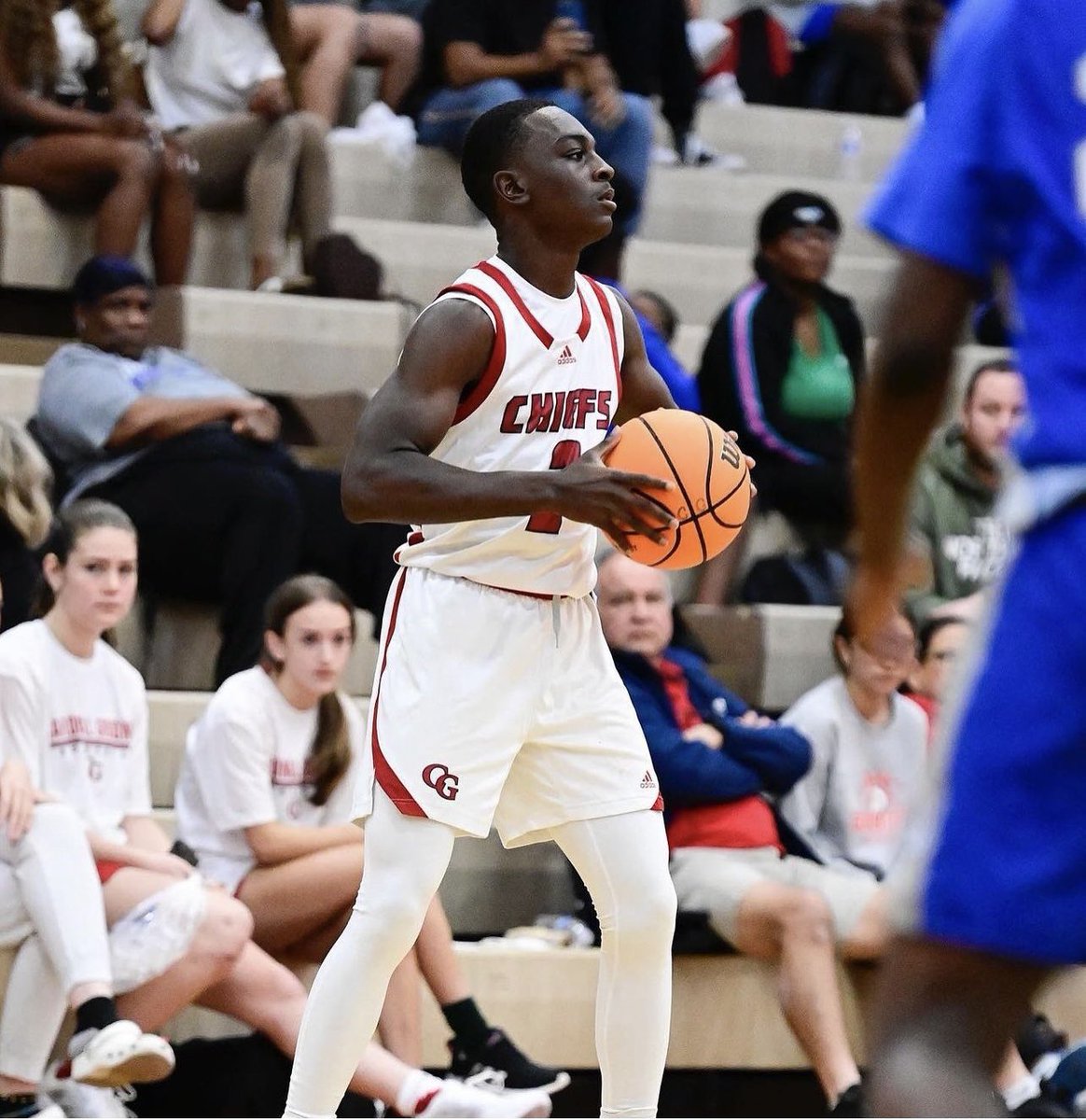 Gibbons Basketball tweet media