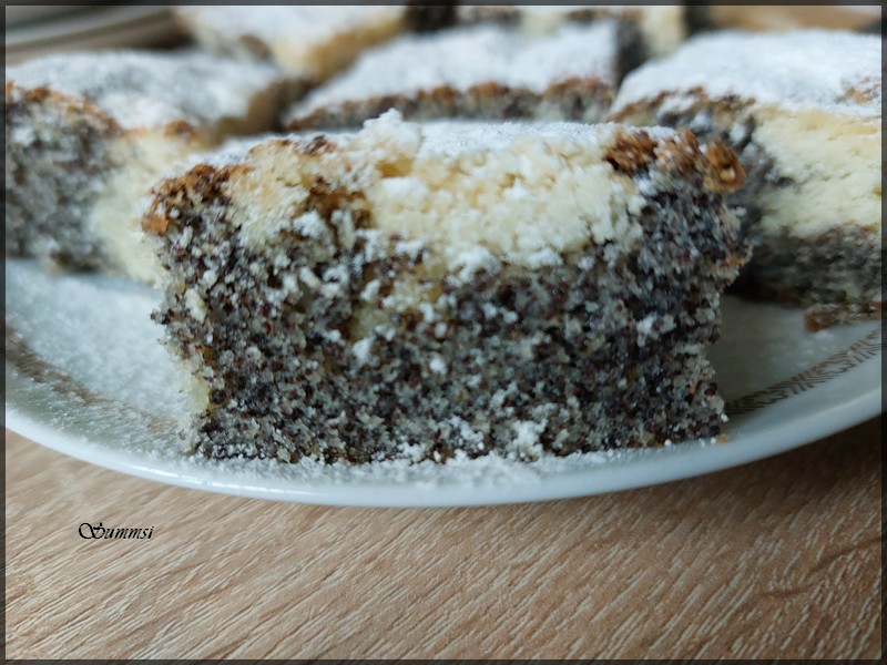 Katrin Mämpel tweet media