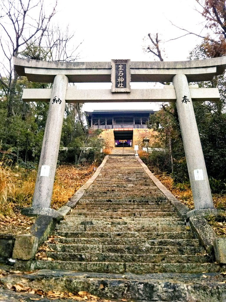 anannda21's tweet photo. 見上げた瞬間、砦かと⁉️⛩️を二度見しました。 （高砂市 1月） https://t.co/Vvbc5RNvPg