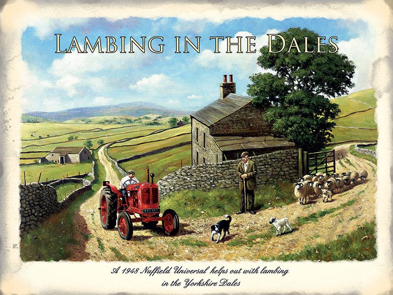 sweetandnostalg's tweet photo. Don't forget, the clocks sprang forward today! Springtime is upon us! ⛅😀🌷- Look out for the lambs! 🐑 https://t.co/5gZygXmlzd #springforward #spring #clocksgoforward #britishsummertime #britishsummer #summer #britishcountryside #british #summertime #britishwildlife #lambs https://t.co/MYvJFooqBM