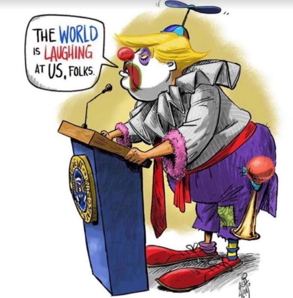 DemocraticDaisy's tweet image. 