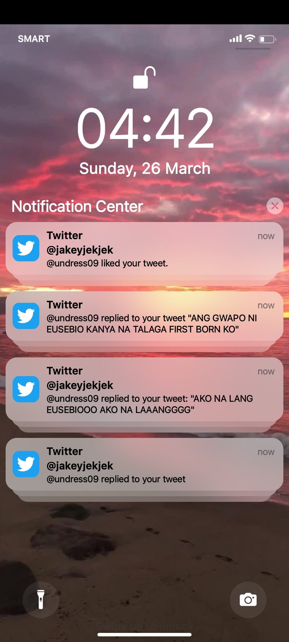 li-twosunnie-twitter