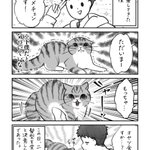 散髪をして帰ったら･･･!ある日の出来事を描いた「猫漫画」が話題に!