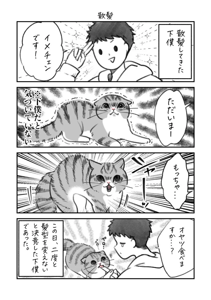 散髪をして帰ったら･･･！ある日の出来事を描いた「猫漫画」が話題に！