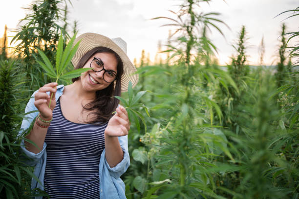 Are you curious about the cannabis industry but not sure how to get started? Our blog post on pursuing a career after #cannabistraining is here to help! From cultivation to sales, there's a role for everyone in this exciting field. #CannabisJobs #techteek buff.ly/3JVjKRB