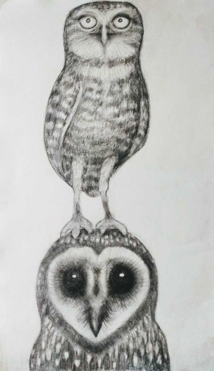 Pencil drawing
annettesjoelund.dk