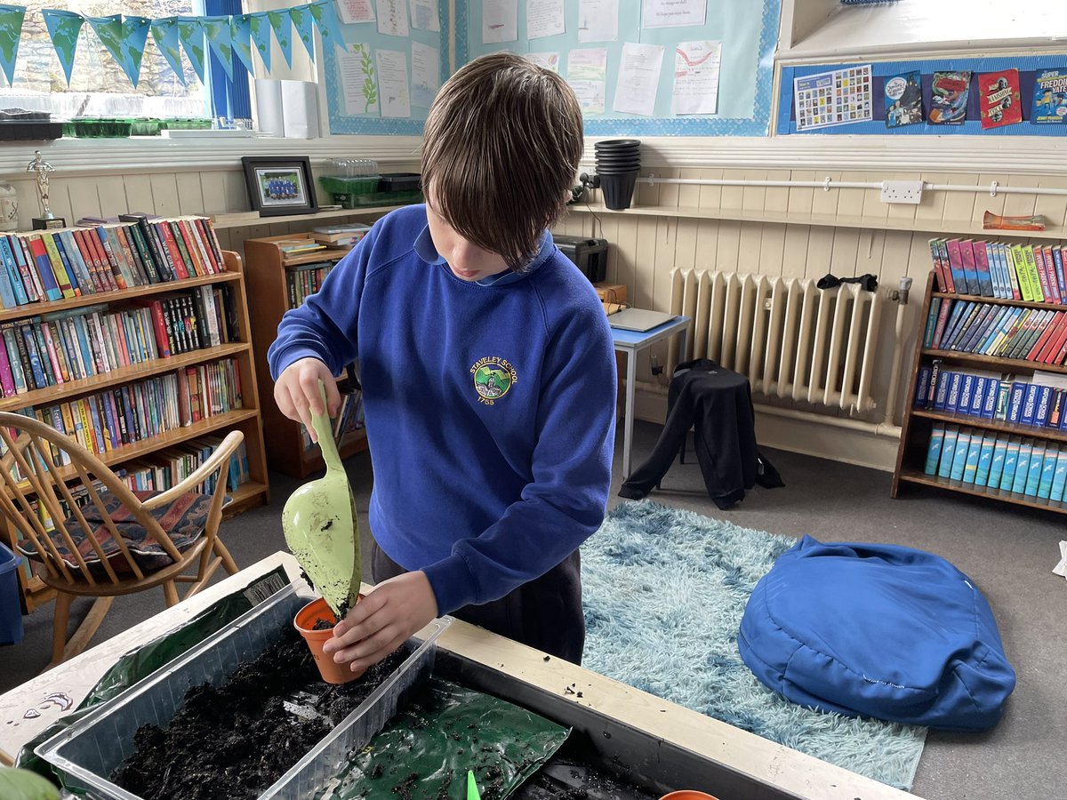 Staveley CE Primary School tweet media