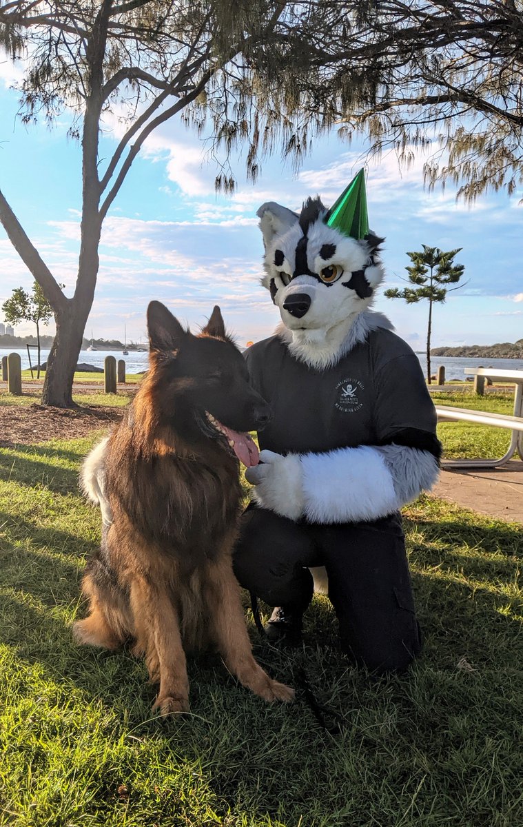 MakePawChoices's tweet photo. My bestest boy turned 4 today. (He said he's too old to wear a party hat) https://t.co/PlNmvBBX13
