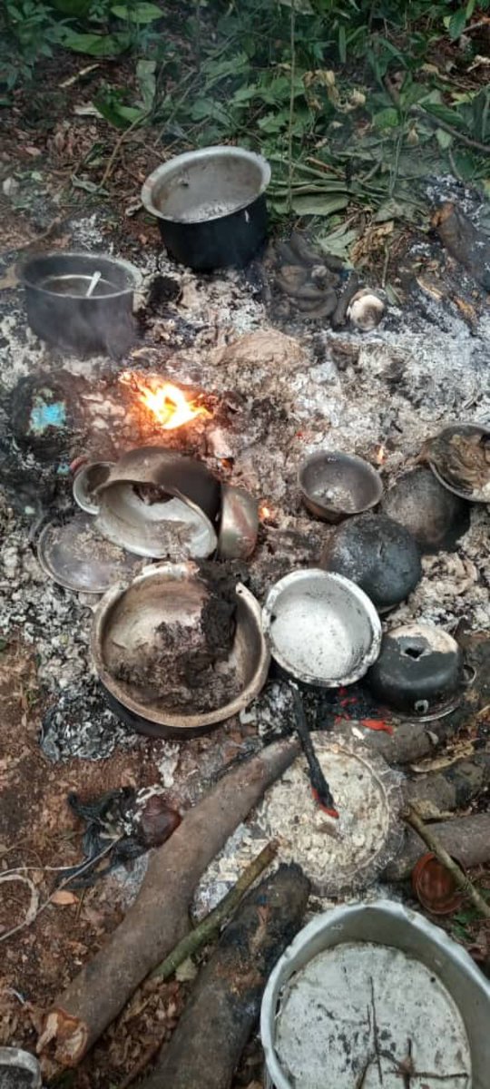 #BENI: 20 ADF neutralisés par les #FARDC dans le Rwenzori,4 autres au bord de la rivière MOLOLIA à 9km à l'Est de MAVIVI et plusieurs effetes militaires récupérés. 
Un week-end cauchemardesque pour ces terroristes.