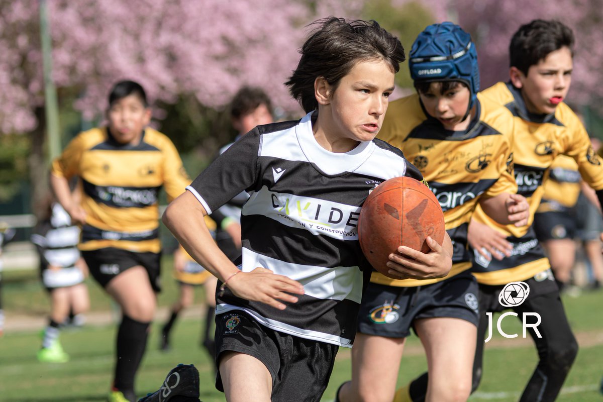 Juan C Rodríguez tweet media