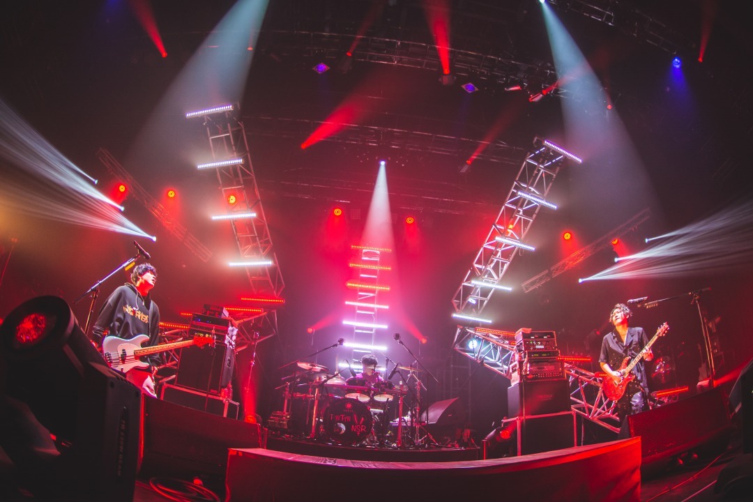 Non Stop Rabbit【ノンラビ】 (@Non_Stop_Rabbit) / Posts / X