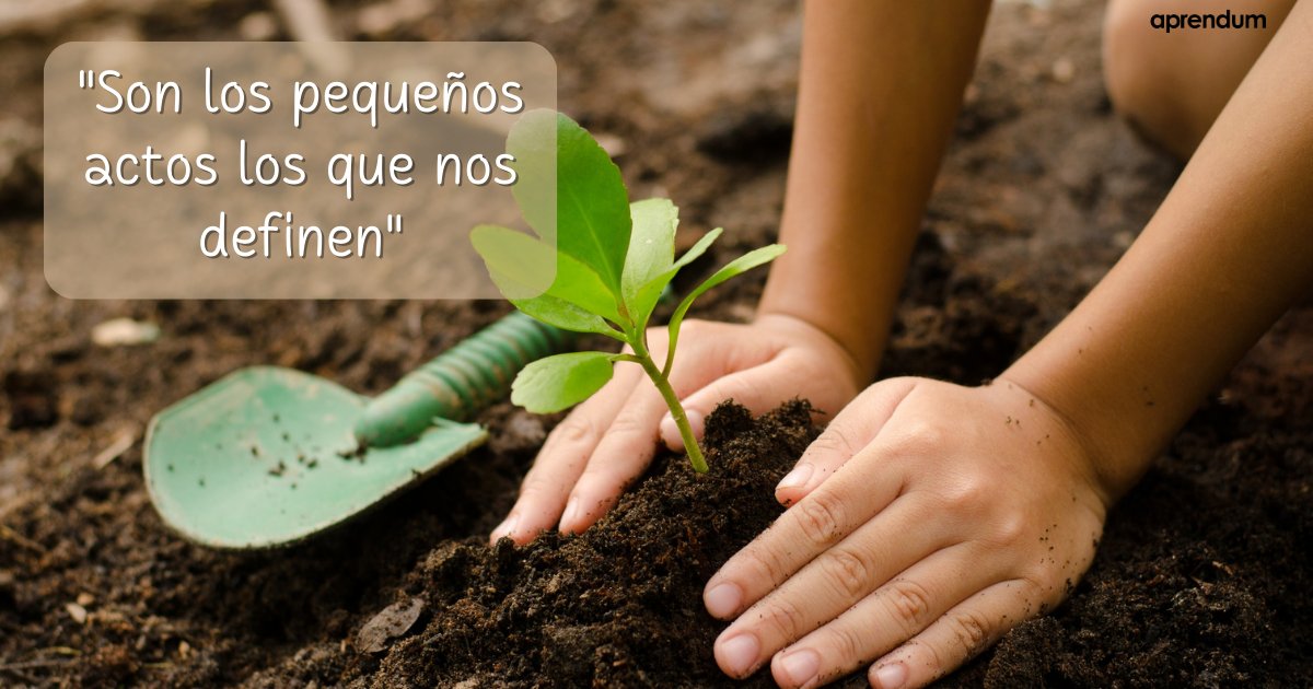 Aprendum tweet media