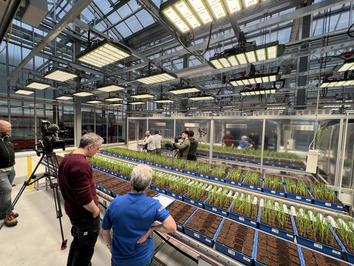 NPPC_UK's tweet photo. Head over to @BBCOne this evening for @BBCCountryfile at 18:10 to see the amazing work in @NPPC_UK and @ibers_aber #HealthyOats #oats #Heratage #plantscience #climatechange @OatsHealthy @HowarthOats @I_P_P_N https://t.co/osSi1qEnC2