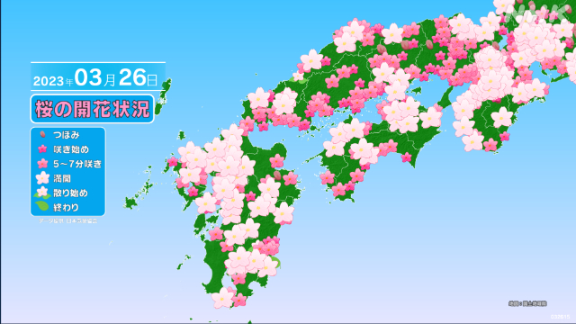 nhk_seikatsu's tweet photo. \福島で満開🌸/

宮城でも桜が3つの観測点で咲き始めています！
桜前線はいよいよ東北へ

東北・北海道ではいつ開花？👇
https://t.co/cAdPtF2koq
#みんなでつくる桜前線 https://t.co/twD9FMFjtw