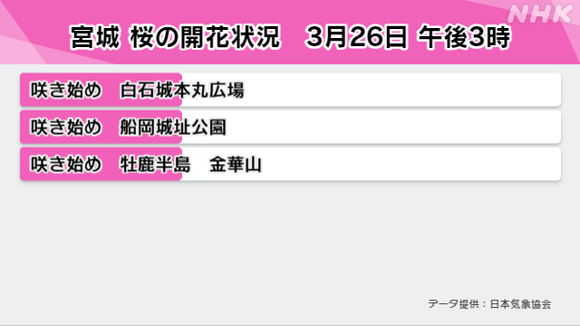 nhk_seikatsu's tweet photo. \福島で満開🌸/

宮城でも桜が3つの観測点で咲き始めています！
桜前線はいよいよ東北へ

東北・北海道ではいつ開花？👇
https://t.co/cAdPtF2koq
#みんなでつくる桜前線 https://t.co/twD9FMFjtw