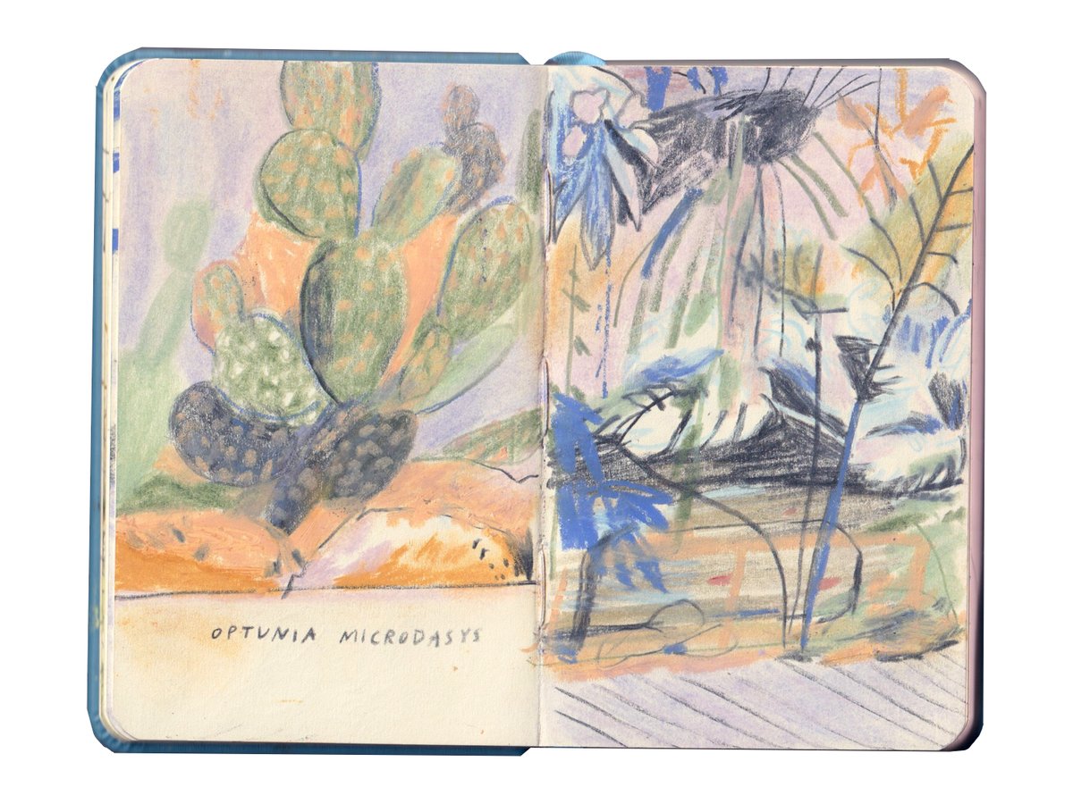 Favourite spread from the Paris sketchbook 🌵