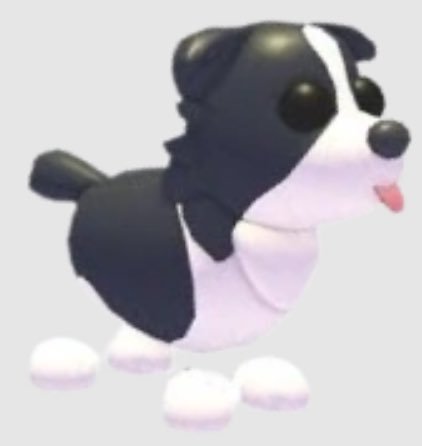 CFCSnowy's tweet image. 🐶 Border Collie Giveaway! 🐶

Rules:
- Follow me ✅
- Like this tweet ❤️
- Retweet ♻️
- Comment ‘Done!’ 💬

Ends 1st April! Good luck 🍀

#AdoptMe #AMGws #AdoptMeGiveaway #AdoptMeGiveaways #AMGiveaway #AMGiveaways