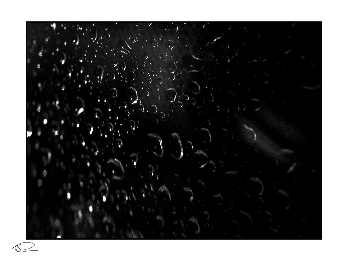 johncruttenden's tweet photo. Raindrops 1 #raindrops #photography #macro #fujifilm_xseries https://t.co/15LAmFiudN
