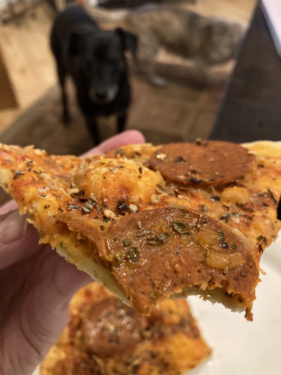 Tracey_Vegan_Expat (@traceykleber) on Twitter photo Delicious pepperoni #pizza from <a href="/OnePlanetPizza/">One Planet Pizza</a>. And a begging #dog.
#goVegan ππ‘ Delicious pepperoni #pizza from <a href="/OnePlanetPizza/">One Planet Pizza</a>. And a begging #dog.
#goVegan ππ‘