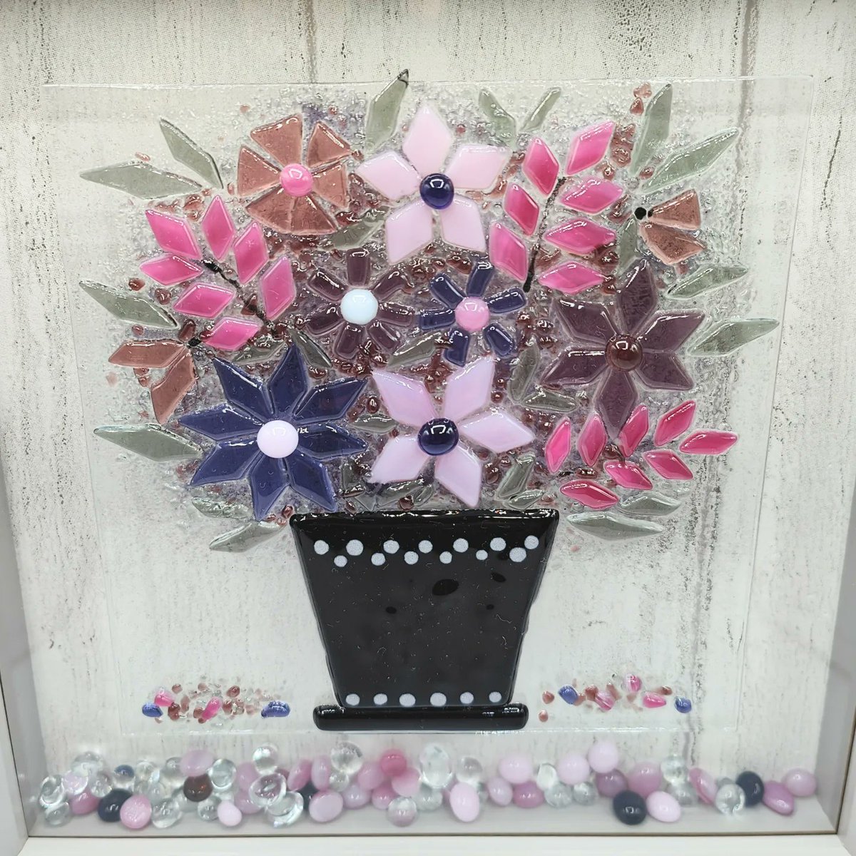 Starfish Glass tweet media