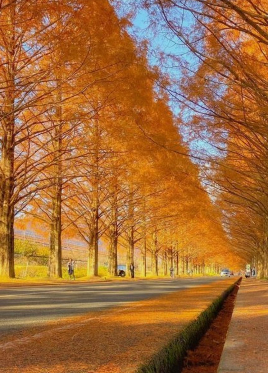 Natureblossm (@natureblossm) on Twitter photo 