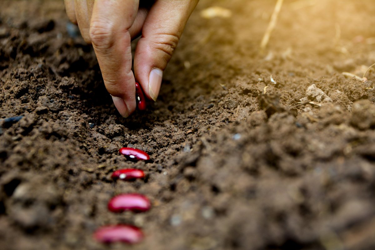 AECID_es's tweet photo. La #CooperaciónEspañola, con su Programa #ARAUCLIMA🌱, ha ejecutado 3️⃣5️⃣ acciones por valor de 6,84 M€ en América Latina y el Caribe,🌎 contribuyendo a fortalecer las capacidades de países y región para implementar las Contribuciones Nacionalmente Determinadas y los #ODS ☀️ https://t.co/5xPOZovjX8