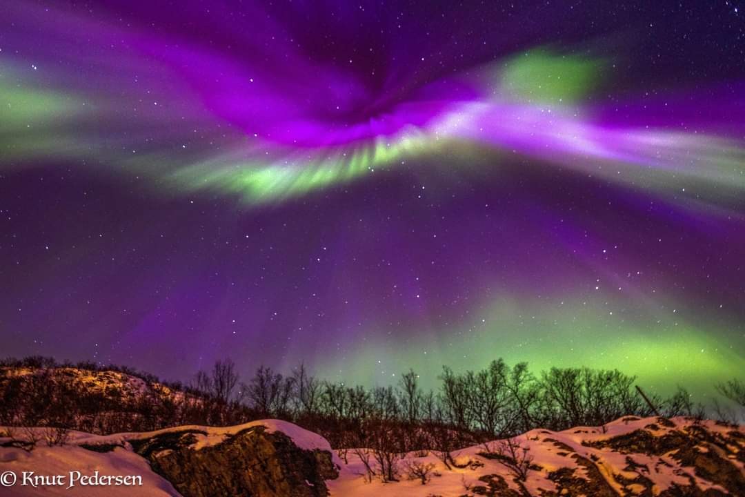 elusive_moose's tweet photo. Wow 😍 Hammerfest Photo Knut Pedersen #Norway #aurora https://t.co/3KPakSHDia