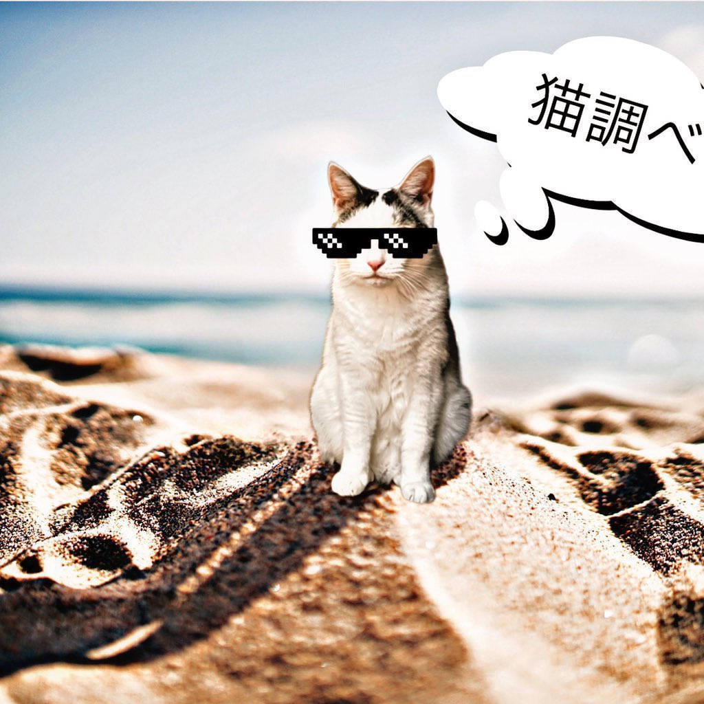 ~明日3/27の猫調べ🐱🔎~
PIA綱島
【猫推しの日🐱】
楽園蒲田
・⑦はハナの日🌺
・サミー強化中🆙
楽園溝の口
・かみちゃま・かみたま👼
楽園上永谷
・パチンカーパチンカー
エスパス溝の口本館
<ルビー><エメラルド>