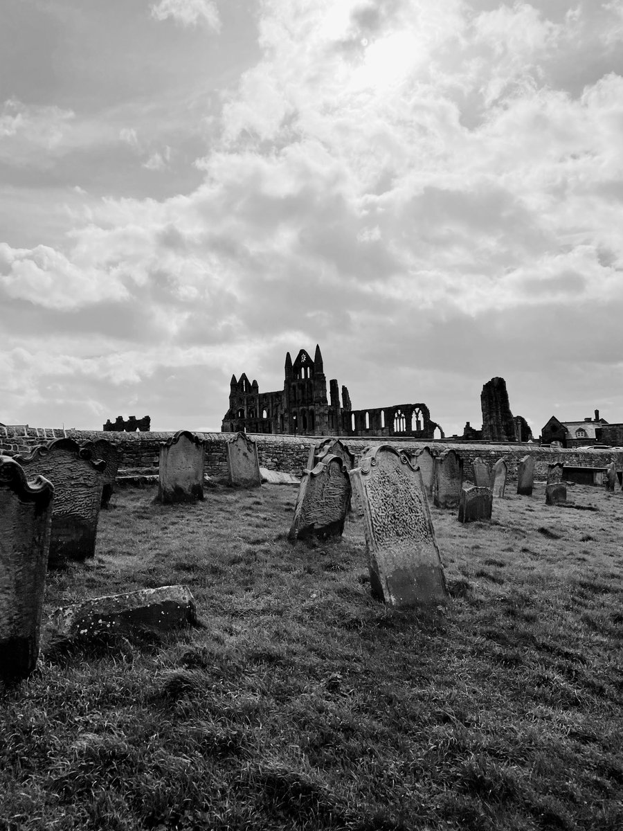 Whitby abbey 🧛🏻‍♂️❤️🐾🥾  #whitby #northyorkshire #whitbyabbey #dracula #northyorks #yorkshire #northeast #yorkshirecoast #visitwhitby