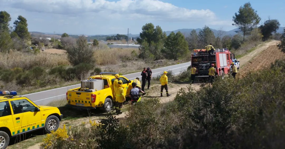 ADF Torrelavit 304 tweet media