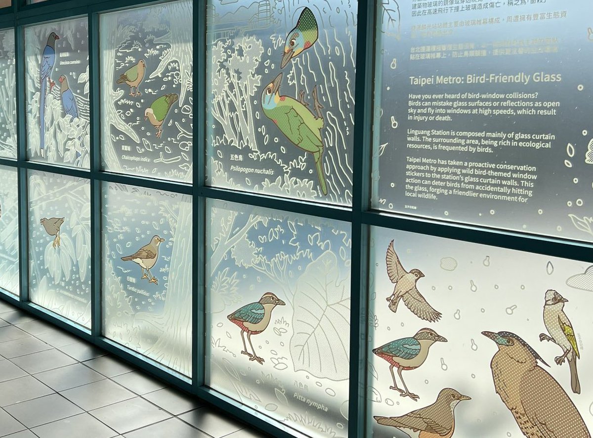 TaiwanBirding's tweet photo. See what #Taipei Metro are doing. #捷運 #windowstrike https://t.co/HqPYgYSePG