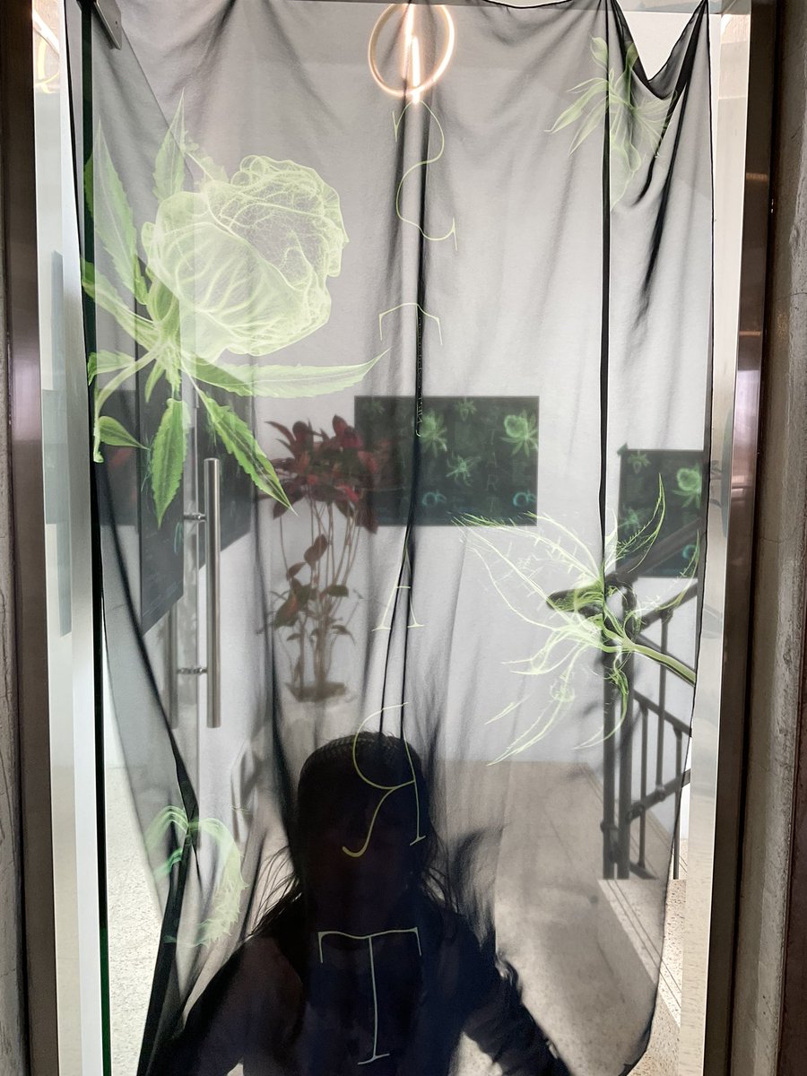 AdamsuMus tweet media