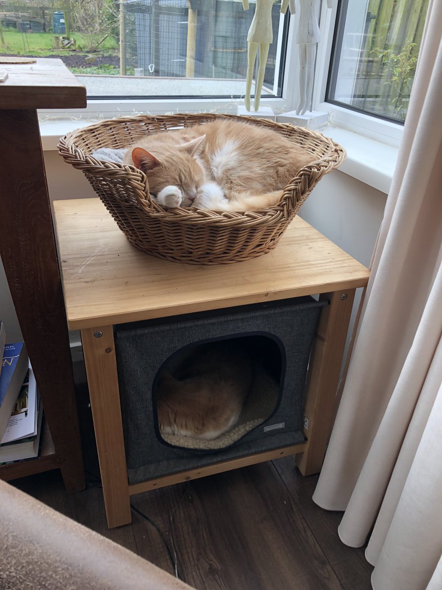 Hester099's tweet photo. @gigaseal @evamariacurlew @ienapiena @remybergsma @Manjadepanja @ReneeMoezelaar @evateuling @EstherHanko @NadineBoke @BieTanjade @rutger_ @IrisRoggema @MarionKoopmans @mkeulemans @marcel_niekus @RJJPub @aliettejonkers @lumphie @jnvdg @EllendeBruin @mtv_tjilpt @OKatert @ZSjoerds @barbaravreede @opinievictor @jacvre @DirkScheffers @Opeenrijtje @AldoGMB @SGaster @gravinpetra @miekeroth @enithka @OdedRechavi @thebestsocialNL @droef_gent @onlineadviseur1 Zo, da’s een stevige discussie geweest😱 Hier in de kattenflat gelukkig nog alles pais en vree … https://t.co/RegTf07FZr