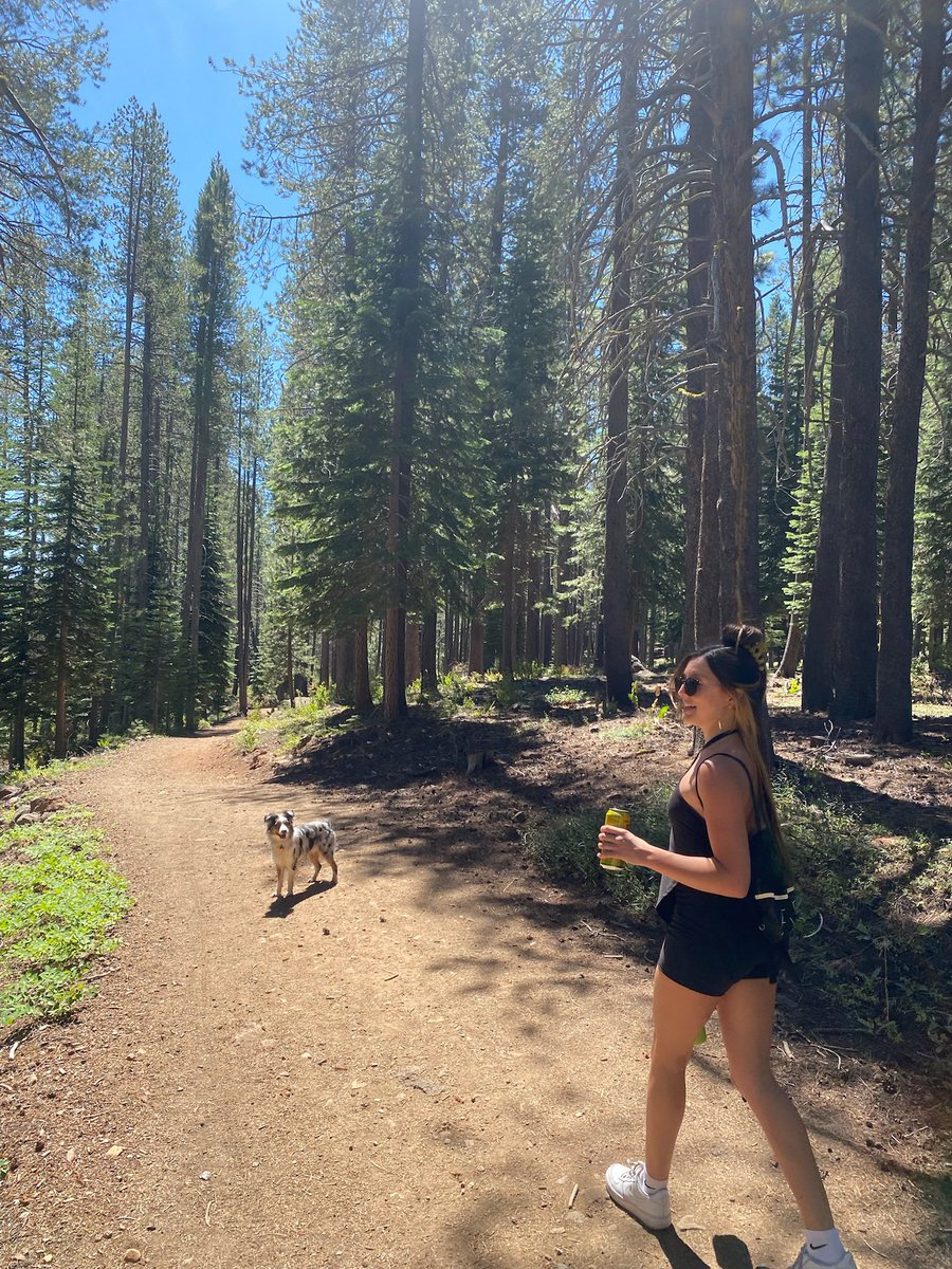kisa444ever's tweet photo. tahoe, truckee cabin, rivers, bears, hot springs, mushroom honey, mountains, ocean, acid spray, tiny middle of no where grocery stores, saké the traveler, and never running out of things to talk about.. ⭐️💕 my northern california partner in crime forever etc etc etc 🥺 https://t.co/RsLDYsJAyr