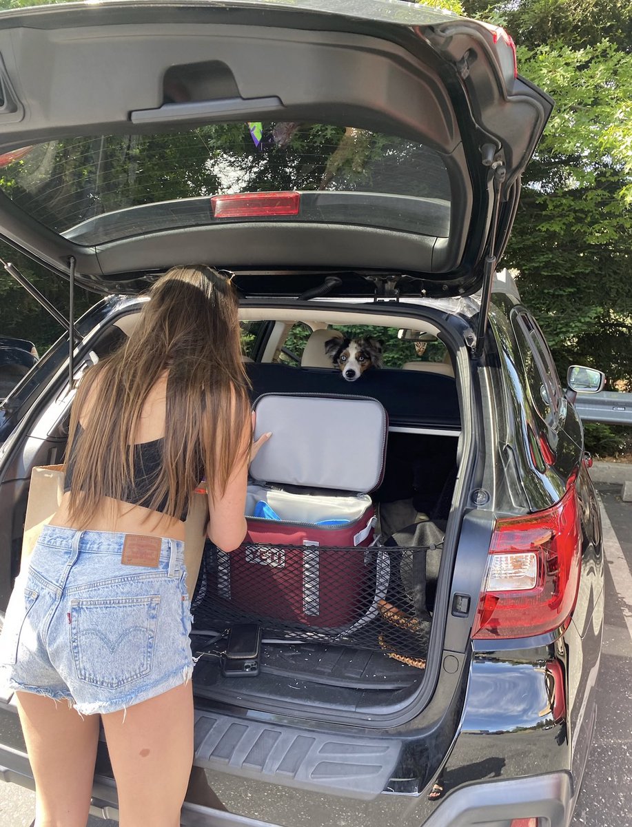 kisa444ever's tweet photo. tahoe, truckee cabin, rivers, bears, hot springs, mushroom honey, mountains, ocean, acid spray, tiny middle of no where grocery stores, saké the traveler, and never running out of things to talk about.. ⭐️💕 my northern california partner in crime forever etc etc etc 🥺 https://t.co/RsLDYsJAyr