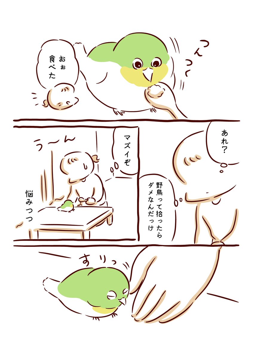 夢で出会ったメジロの話 