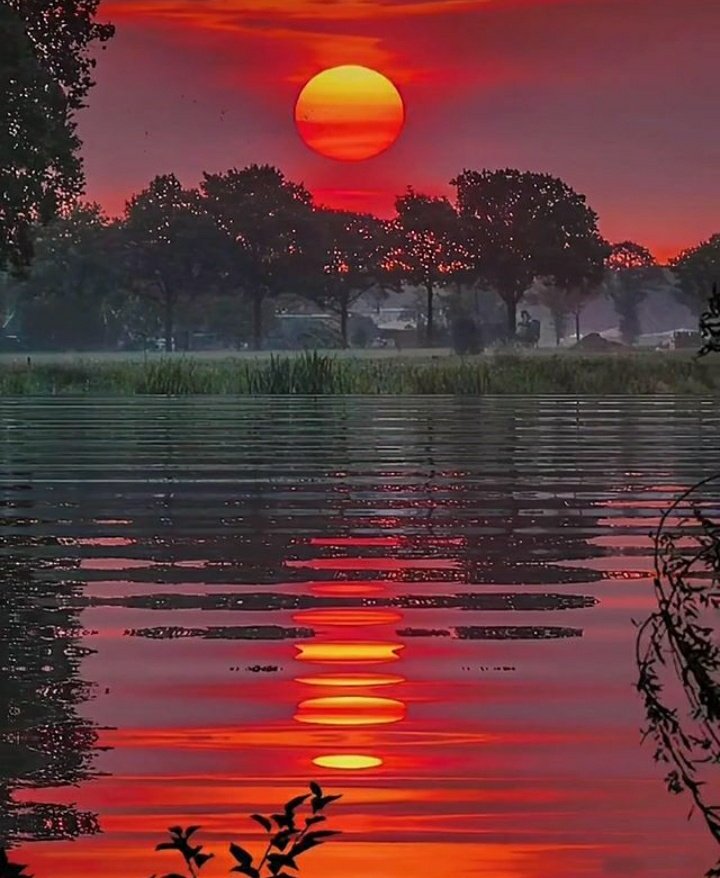 Sunset lovers
#waterreflections #reflections #reflection #waterreflection #perfection #reflectionshot #beautiful #reflectionpic #lakereflection #puddlereflection #mirrorreflection #reflectiontour #reflectiontime #sunset #summerreflection