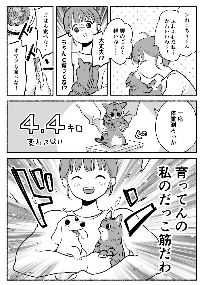 300gだった子猫 すくすく育ったのは、猫だけでなく…? https://t.co/QOGmbsgyXk @grapeejpより 