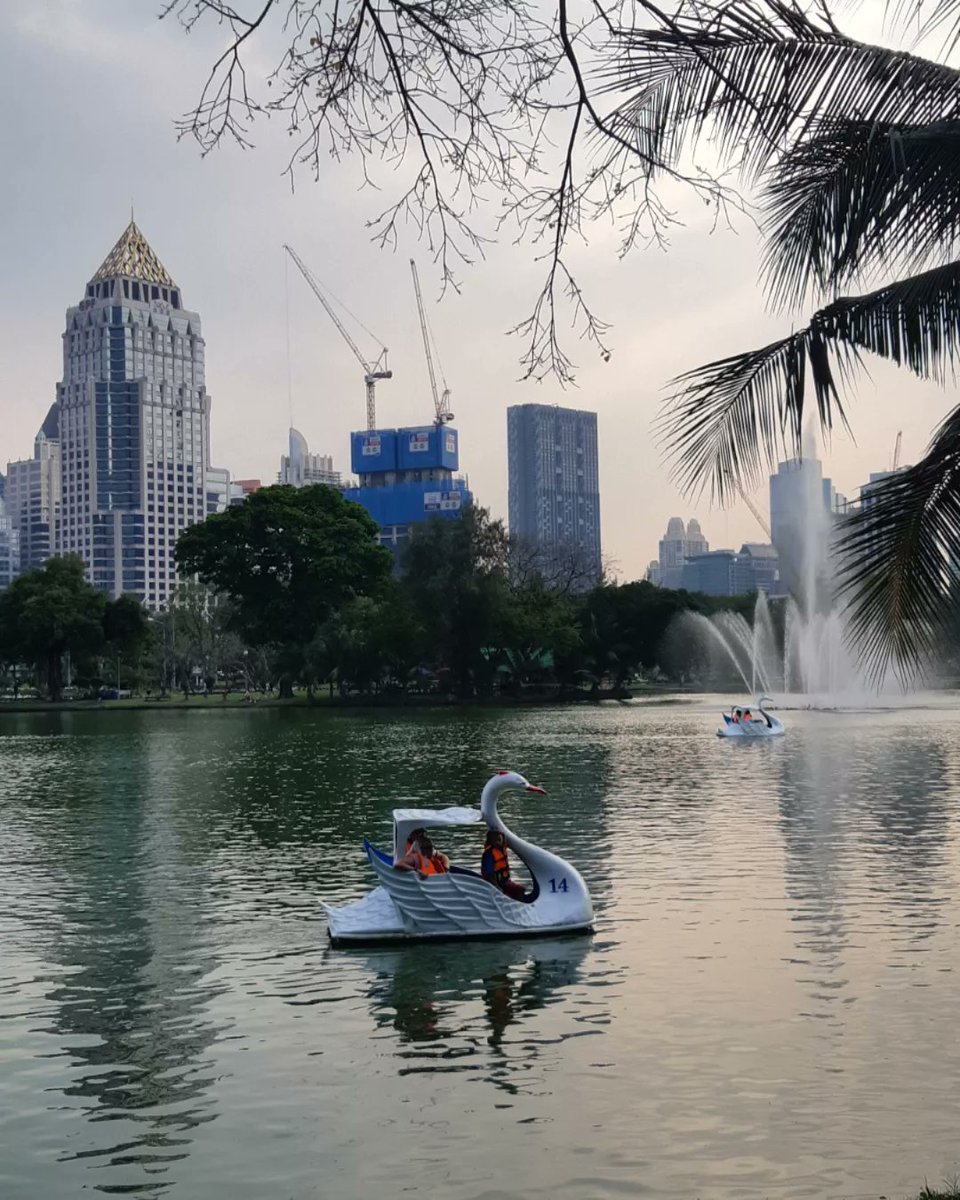 Thorada's tweet photo. Cruising through Lumpini Park baskin in the sun is always a treat. 🙏😎 #UrbanCycling  #GreenParks #Bangkok #Thailand #bbkk #BeautifulBangkok #Picturesque #Wanderlust #LumpiniPark https://t.co/19NcXdV9K7