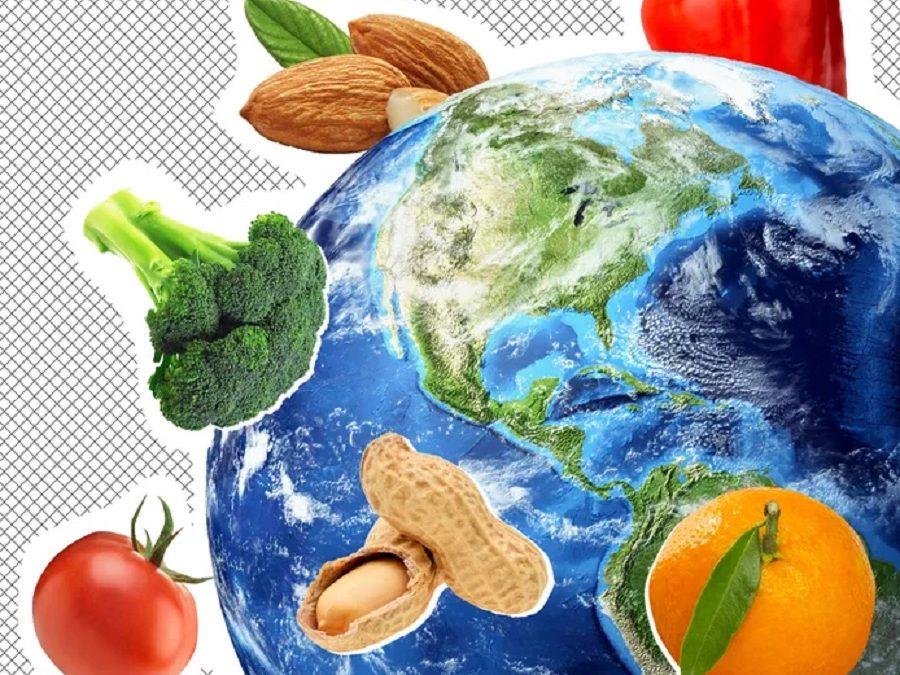 New research shows that despite claims to be healthy and environmentally sustainable, the keto and paleo diets are neither. 

Read more:
animalagricultureclimatechange.org/ditch-the-keto…

#keto #ketodiet #ketorecipes #paleodiet #diet #healthyliving #eatfortheplanet #healthyeating #lessmeatmoreveg