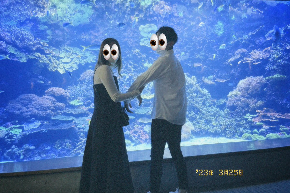 _000116_'s tweet photo. 🐬♡ https://t.co/4Zu3GNA5YL