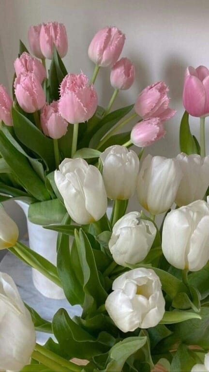 glikkeriya's tweet image. Никогда не бывает в жизни всё хорошо или всё плохо... Просто есть время для радости и время для грусти. И то и другое – важно...