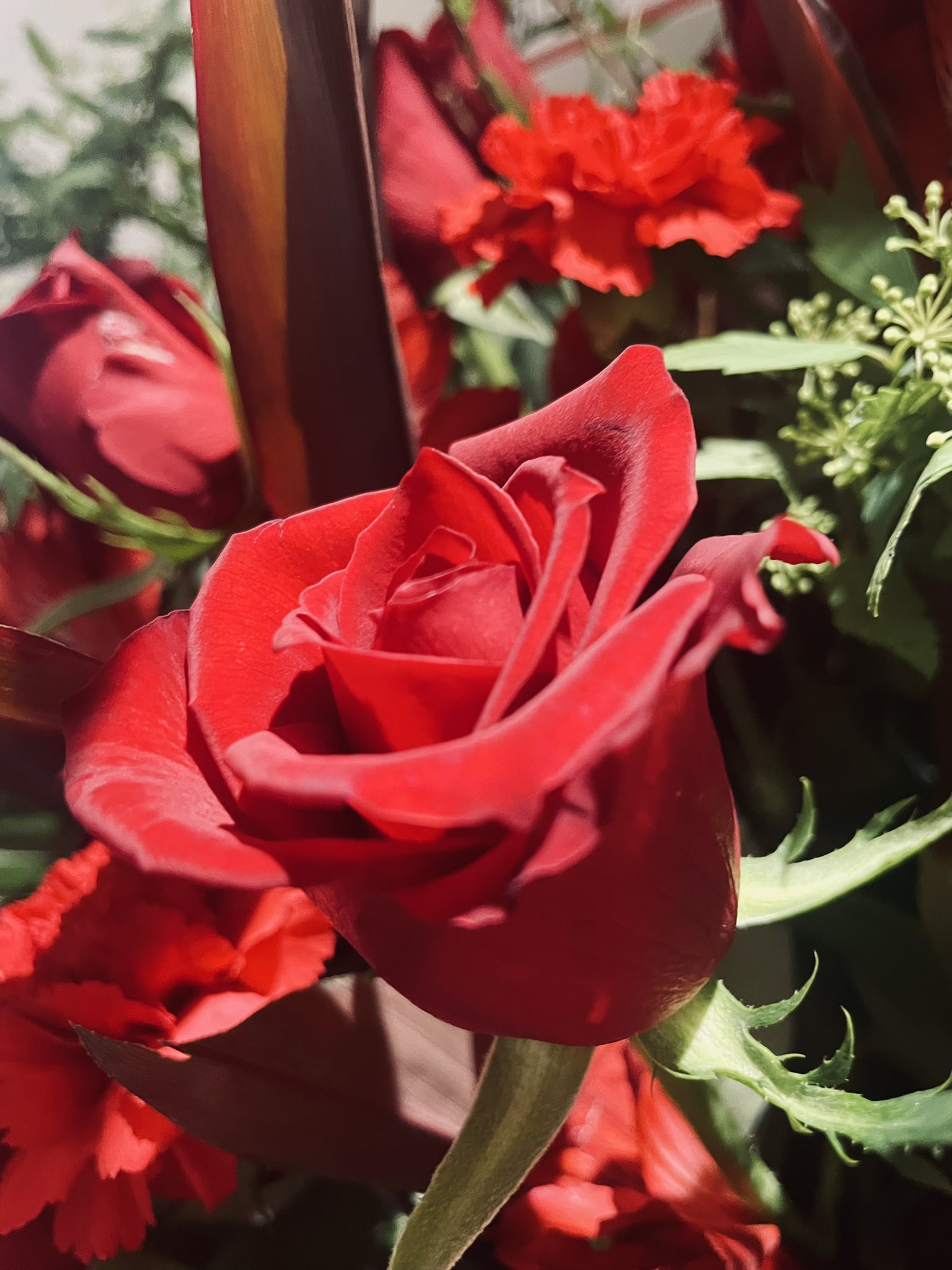 新品72弁Aimer ♪春はゆく♪花の唄♪IBeg～オルフェウス722オルゴール 花の唄 梶浦由記 Aimer/ I beg you 梶浦由記 Aimer/ 春はゆく